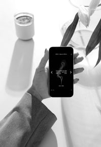 Digitales Debut Deck I (DE)